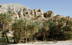 Ras Al Khaimah Tour, Ras Al Khaimah Sightseeing, Ras Al Khaimah Tour packages