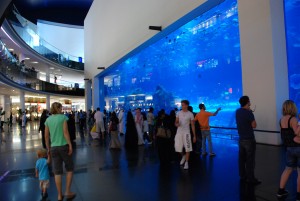 dubai city tour, dubai city tours, dubai travel, dubai city visit, dubai city info, city tour dubai - 01